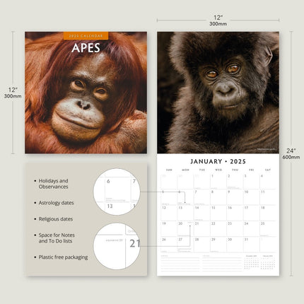 Apes - 2025 Square Wall Calendar Animals 16 Months Premium Planner New Year Gift