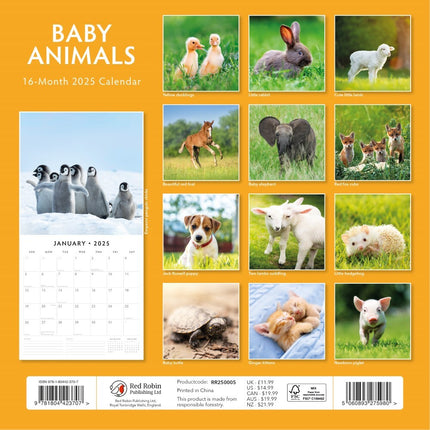 Baby Animals - 2025 Square Wall Calendar Animals 16 Months Premium Planner Gift