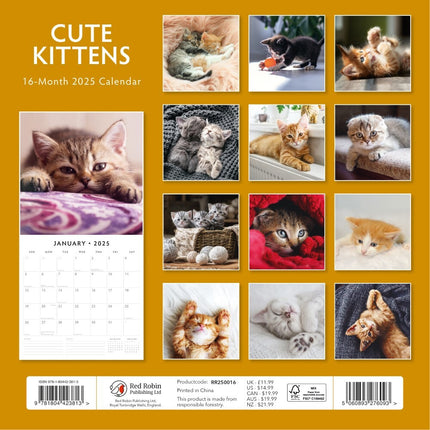 Cute Kittens - 2025 Square Wall Calendar Animals 16 Months Premium Planner Gift