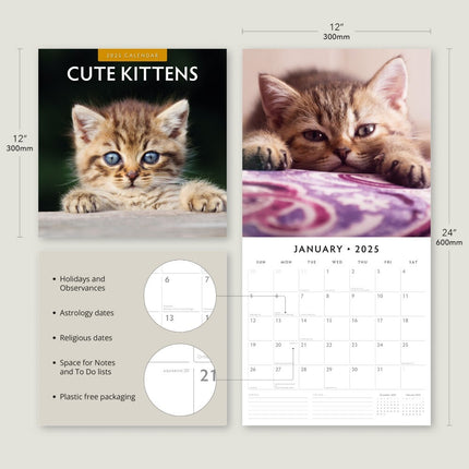 Cute Kittens - 2025 Square Wall Calendar Animals 16 Months Premium Planner Gift