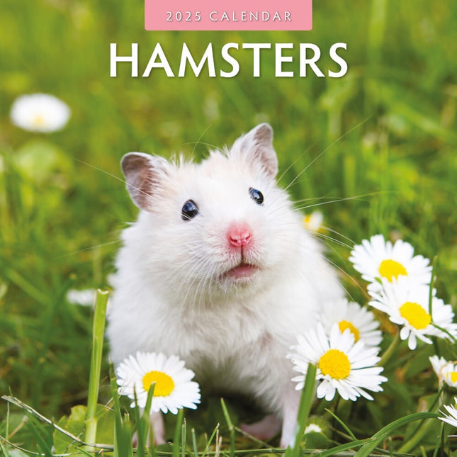 Hamsters聽 - 2025 Square Wall Calendar Animals 16 Months Premium New Year Planner