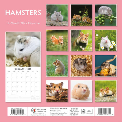 Hamsters聽 - 2025 Square Wall Calendar Animals 16 Months Premium New Year Planner