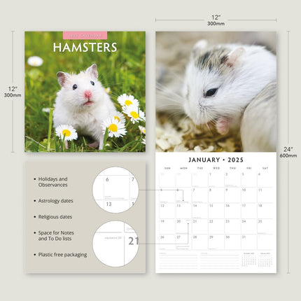 Hamsters聽 - 2025 Square Wall Calendar Animals 16 Months Premium New Year Planner