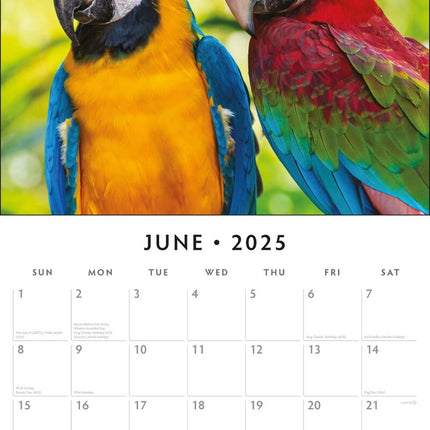 Parrots聽 - 2025 Square Wall Calendar Animals 16 Months Premium New Year Planner