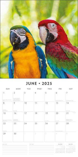 Parrots聽 - 2025 Square Wall Calendar Animals 16 Months Premium New Year Planner