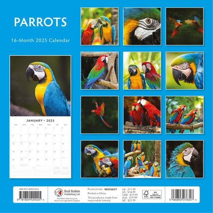 Parrots聽 - 2025 Square Wall Calendar Animals 16 Months Premium New Year Planner