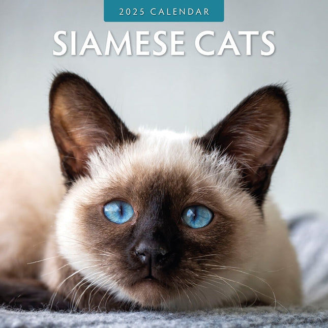 Siamese Cats - 2025 Square Wall Calendar Animals 16 Months Premium Planner Gift