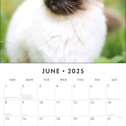 Siamese Cats - 2025 Square Wall Calendar Animals 16 Months Premium Planner Gift