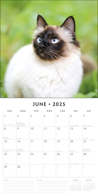 Siamese Cats - 2025 Square Wall Calendar Animals 16 Months Premium Planner Gift