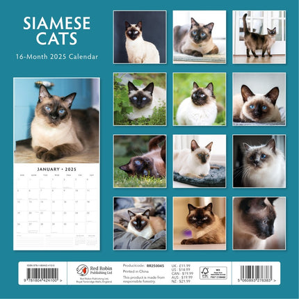 Siamese Cats - 2025 Square Wall Calendar Animals 16 Months Premium Planner Gift