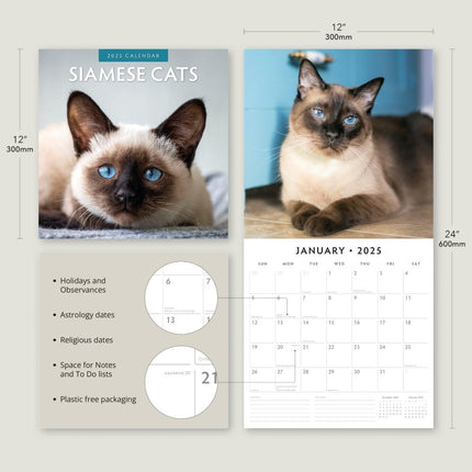 Siamese Cats - 2025 Square Wall Calendar Animals 16 Months Premium Planner Gift