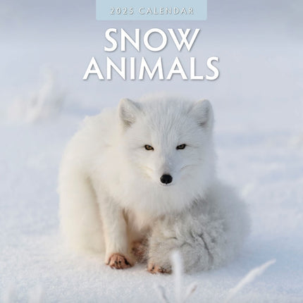 Snow Animals - 2025 Square Wall Calendar Animals 16 Months Premium Planner Gift