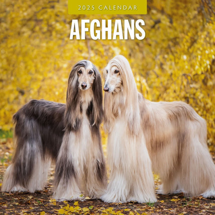 Afghans 2025 Square Wall Calendar Animals 16 Month Premium New Year Planner Gift