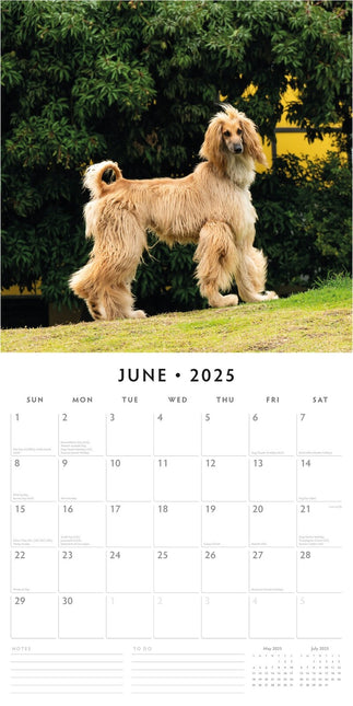 Afghans 2025 Square Wall Calendar Animals 16 Month Premium New Year Planner Gift