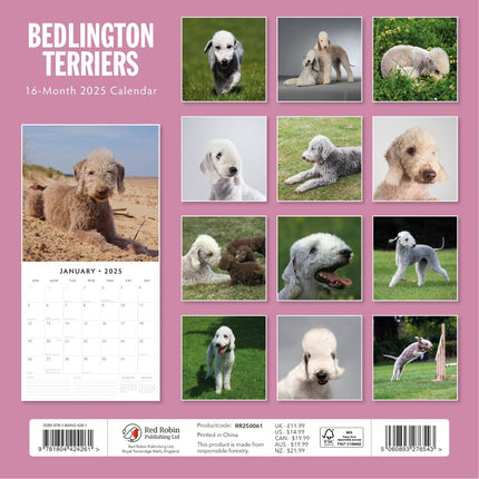 Bedlington Terriers - 2025 Square Wall Calendar Animals 16 Month Premium Planner