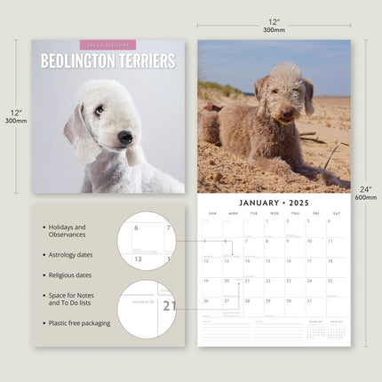 Bedlington Terriers - 2025 Square Wall Calendar Animals 16 Month Premium Planner