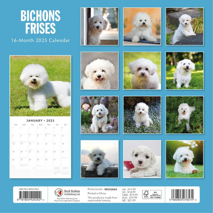 Bichons Frises 2025 Square Wall Calendar Animals 16 Months Premium Planner Gift