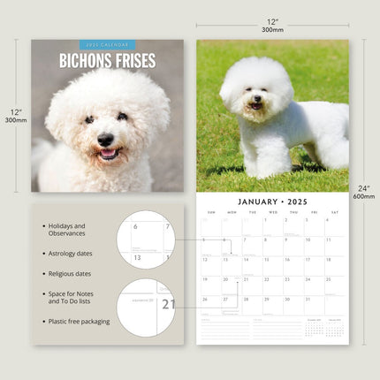 Bichons Frises 2025 Square Wall Calendar Animals 16 Months Premium Planner Gift