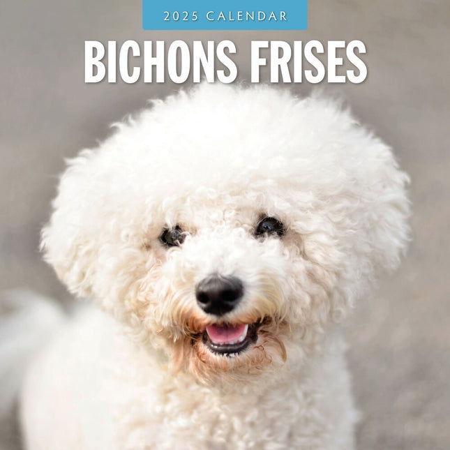 Bichons Frises 2025 Square Wall Calendar Animals 16 Months Premium Planner Gift