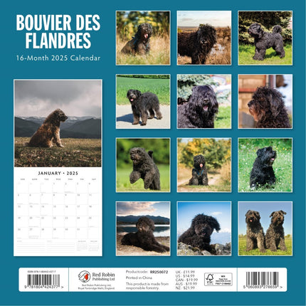 Bouvier des Flandres 2025 Square Wall Calendar Animals 16 Months Premium Planner