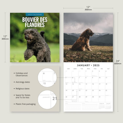 Bouvier des Flandres 2025 Square Wall Calendar Animals 16 Months Premium Planner