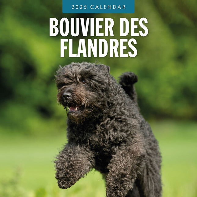 Bouvier des Flandres 2025 Square Wall Calendar Animals 16 Months Premium Planner