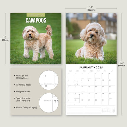 Cavapoos - 2025 Square Wall Calendar Animals 16 Months Premium New Year Planner