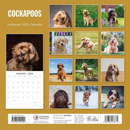 Cockapoos - 2025 Square Wall Calendar Animals 16 Months Premium New Year Planner