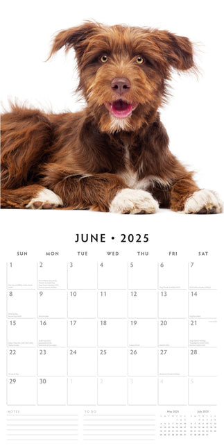 Crossbreeds - 2025 Square Wall Calendar Animals 16 Months Premium Planner Gift