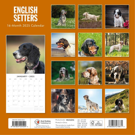 English Setters 2025 Square Wall Calendar Animals 16 Months Premium Planner Gift