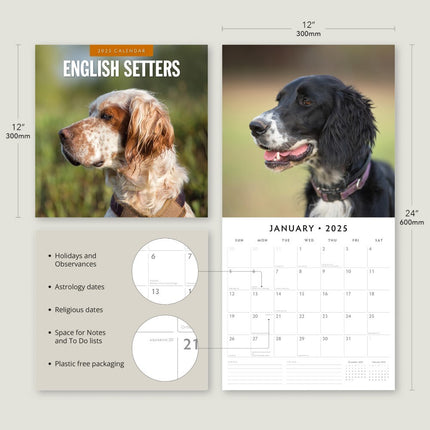 English Setters 2025 Square Wall Calendar Animals 16 Months Premium Planner Gift