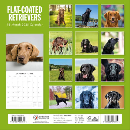 Flat Coated Retrievers - 2025 Square Wall Calendar Animals 16 Months Planner