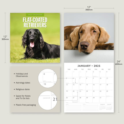 Flat Coated Retrievers - 2025 Square Wall Calendar Animals 16 Months Planner