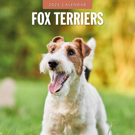 Fox Terriers - 2025 Square Wall Calendar Animals 16 Months Premium Planner Gift