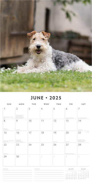 Fox Terriers - 2025 Square Wall Calendar Animals 16 Months Premium Planner Gift