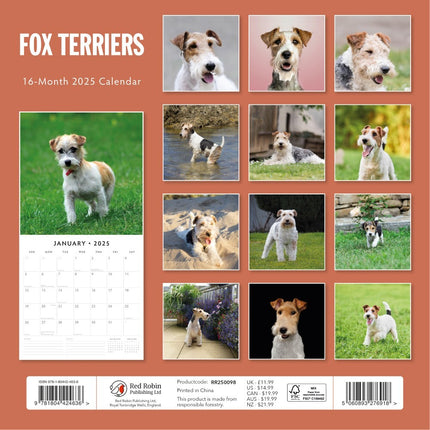 Fox Terriers - 2025 Square Wall Calendar Animals 16 Months Premium Planner Gift