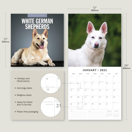 German Shepherd, White - 2025 Square Wall Calendar Animals 16 Months Planner