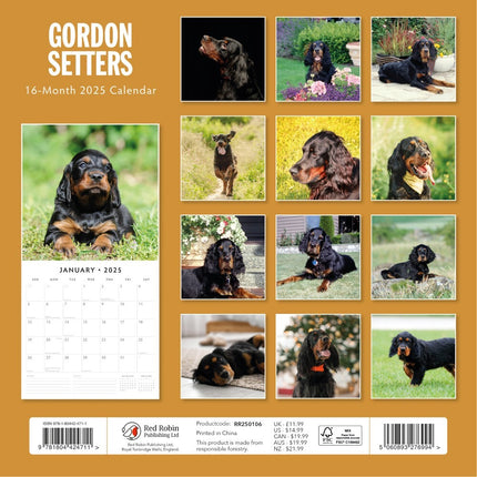 Gordon Setters 2025 Square Wall Calendar Animals 16 Months Premium Planner Gift