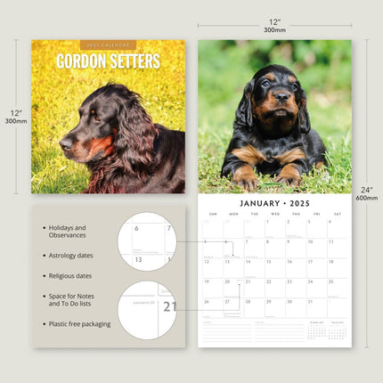 Gordon Setters 2025 Square Wall Calendar Animals 16 Months Premium Planner Gift