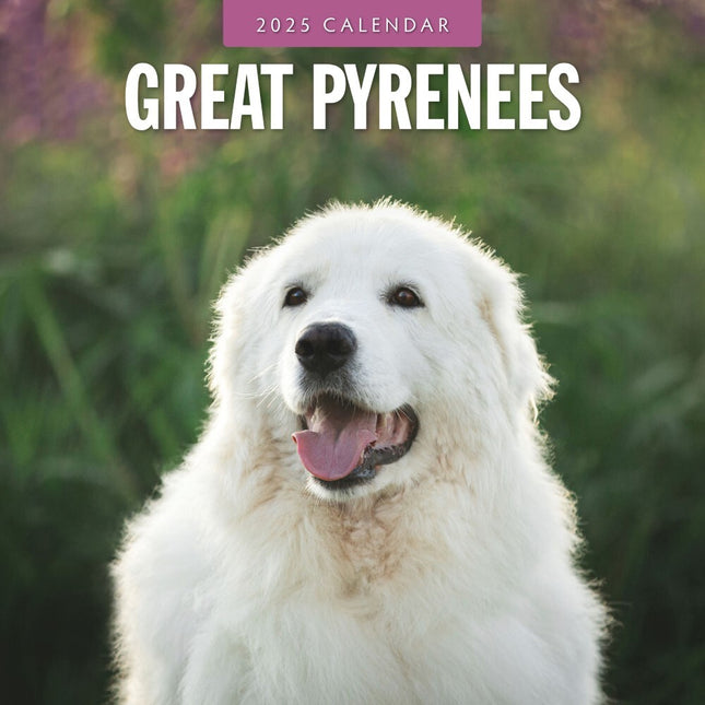 Great Pyrenees 2025 Square Wall Calendar Animals 16 Months Premium Planner Gift