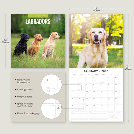 Labradors - 2025 Square Wall Calendar Animals 16 Months Premium New Year Planner