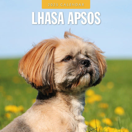 Lhasa Apsos - 2025 Square Wall Calendar Animals 16 Months Premium Planner Gift