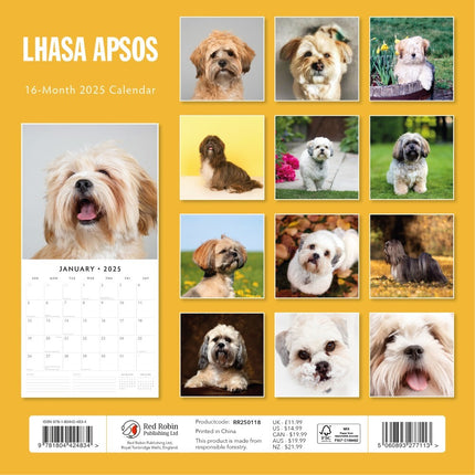 Lhasa Apsos - 2025 Square Wall Calendar Animals 16 Months Premium Planner Gift