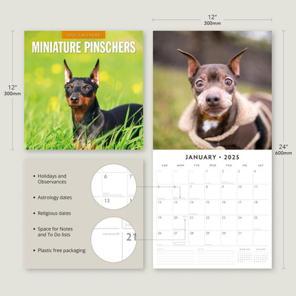 Miniature Pinschers - 2025 Square Wall Calendar Animals 16 Month Premium Planner