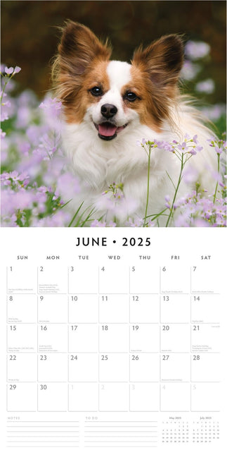 Papillions - 2025 Square Wall Calendar Animals 16 Months Premium Planner Gift