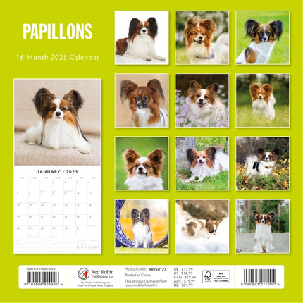 Papillions - 2025 Square Wall Calendar Animals 16 Months Premium Planner Gift