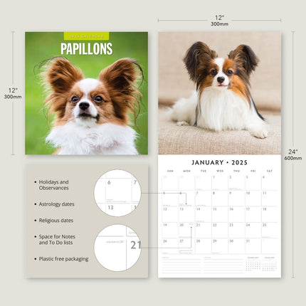 Papillions - 2025 Square Wall Calendar Animals 16 Months Premium Planner Gift