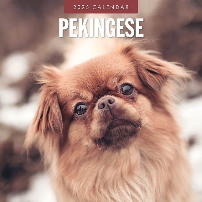 Pekingese - 2025 Square Wall Calendar Animals 16 Months Premium New Year Planner