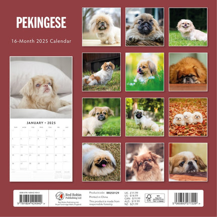 Pekingese - 2025 Square Wall Calendar Animals 16 Months Premium New Year Planner