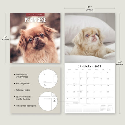 Pekingese - 2025 Square Wall Calendar Animals 16 Months Premium New Year Planner